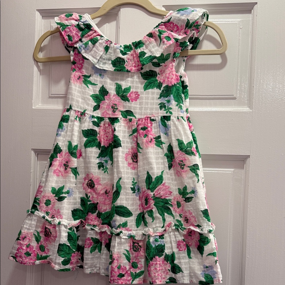 Janie and Jack Floral Pink and Green Kids Dress